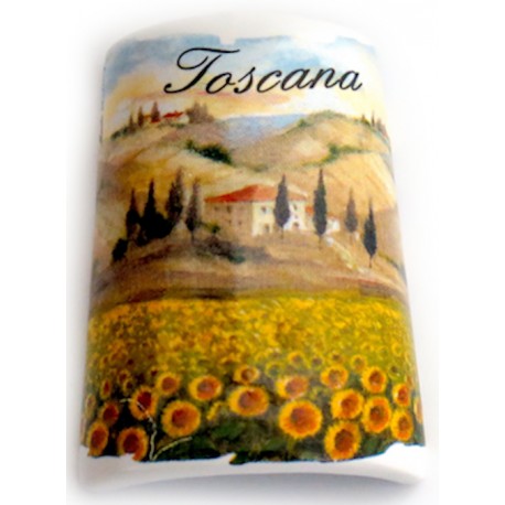 Tegolina magnetica con la Toscana  TS1