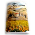 Tegolina magnetica con la Toscana  TS1