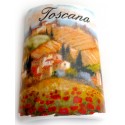 Tegolina magnetica con la Toscana TS2
